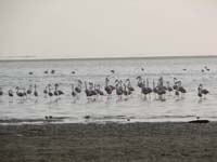 /international/2006Walvisbay/images/Final/thumbnails/final 026.jpg